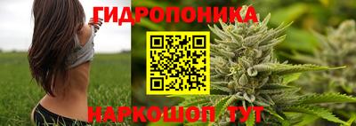 амф Тверь