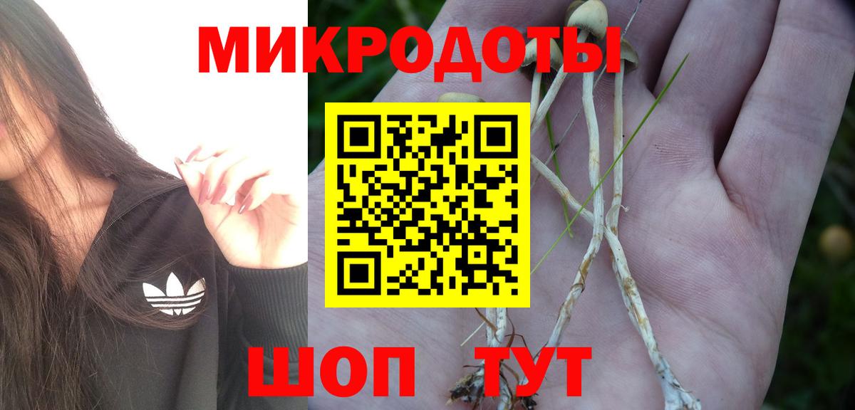 Новороссийск  Псилоцибиновые грибы мухоморы  Вход с VPN 