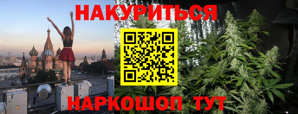 Канабис гибрид Новороссийск